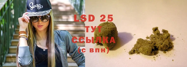 ПСИЛОЦИБИНОВЫЕ ГРИБЫ Алексеевка