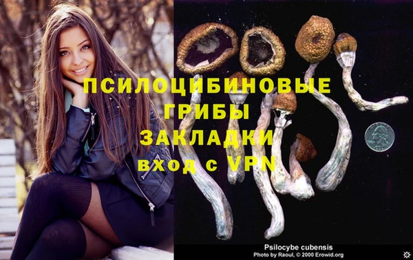 spice Алзамай