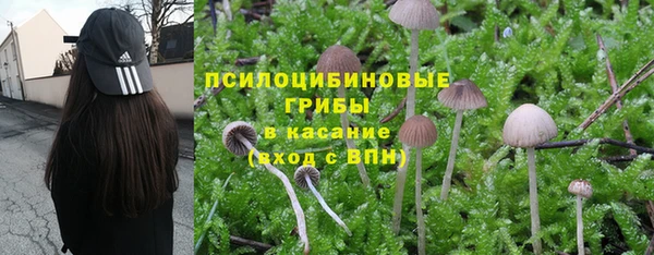 ПСИЛОЦИБИНОВЫЕ ГРИБЫ Алексеевка