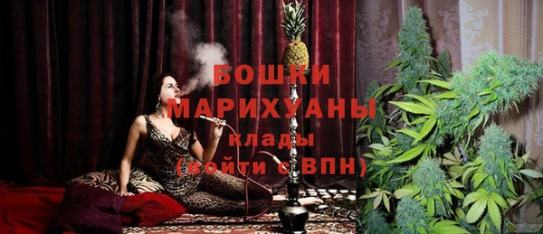 spice Алзамай
