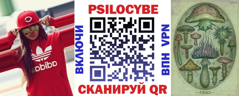 Галлюциногенные грибы Psilocybe  Мантурово 